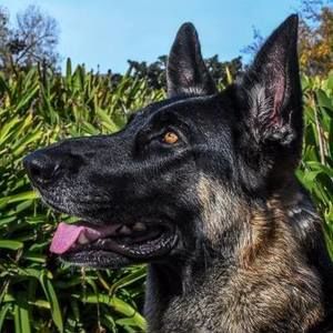 Meet your Posher, Margaret